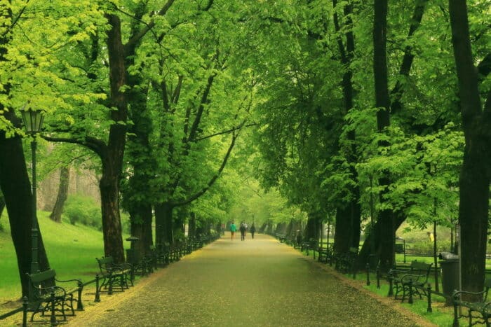 areas of krakow