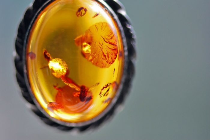 poland amber