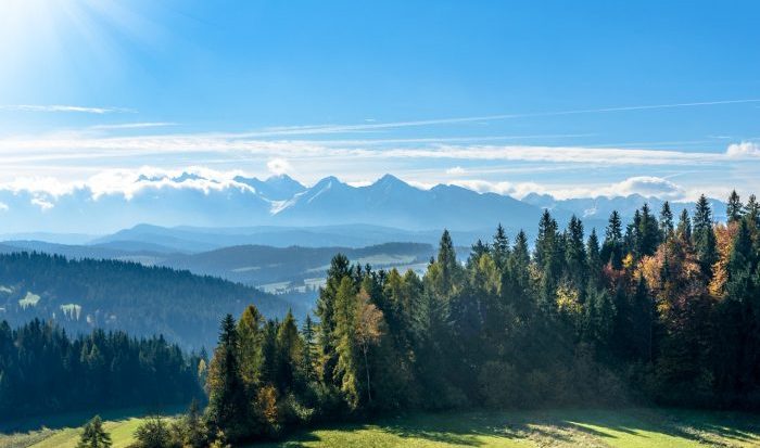 poland countryside